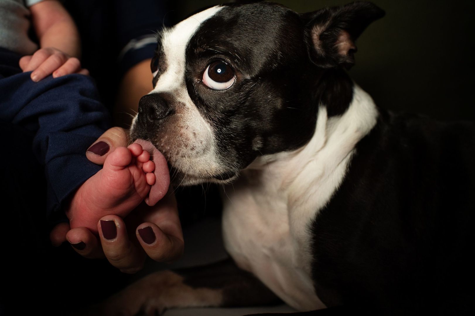 Foto Cristal - Imagem 4