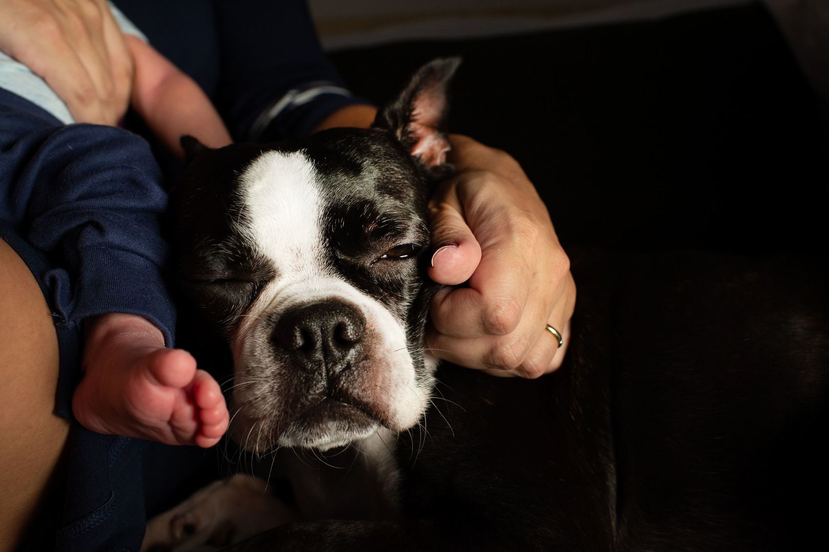 Foto Cristal - Imagem 9