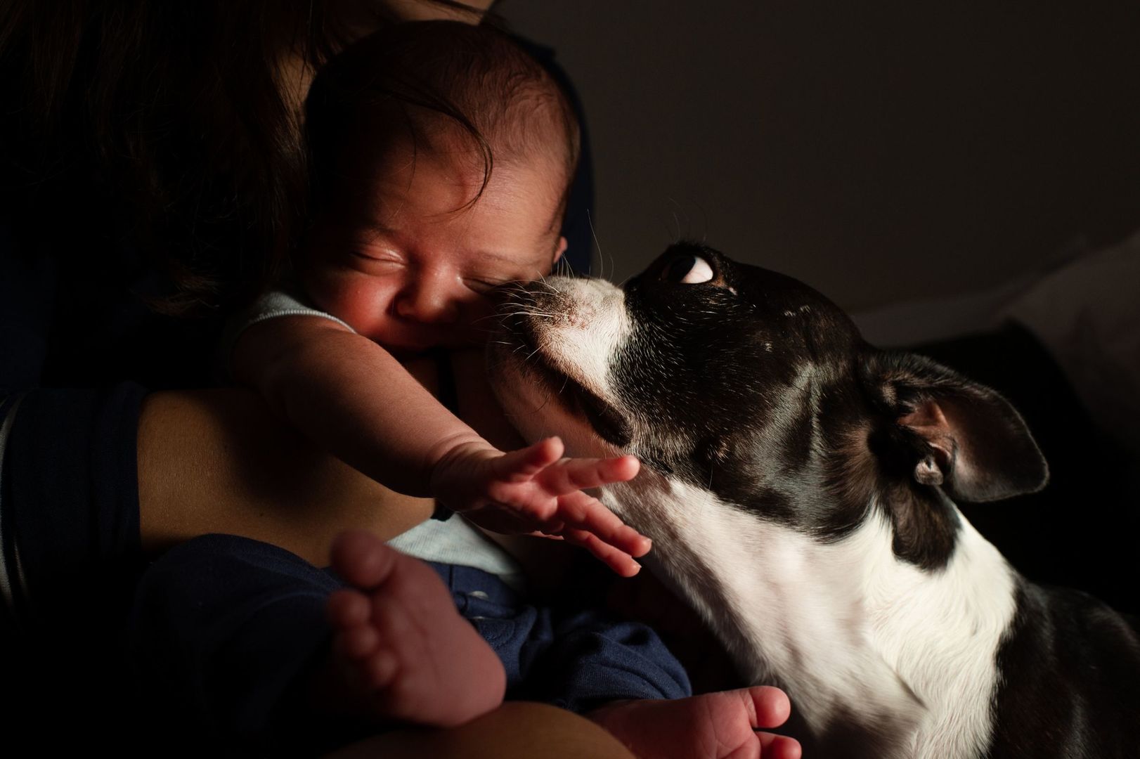 Foto Cristal - Imagem 7