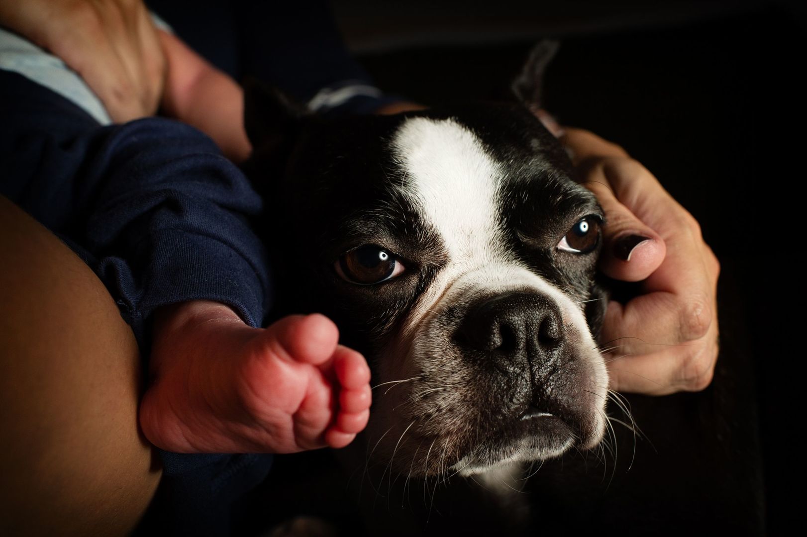 Foto Cristal - Imagem 8