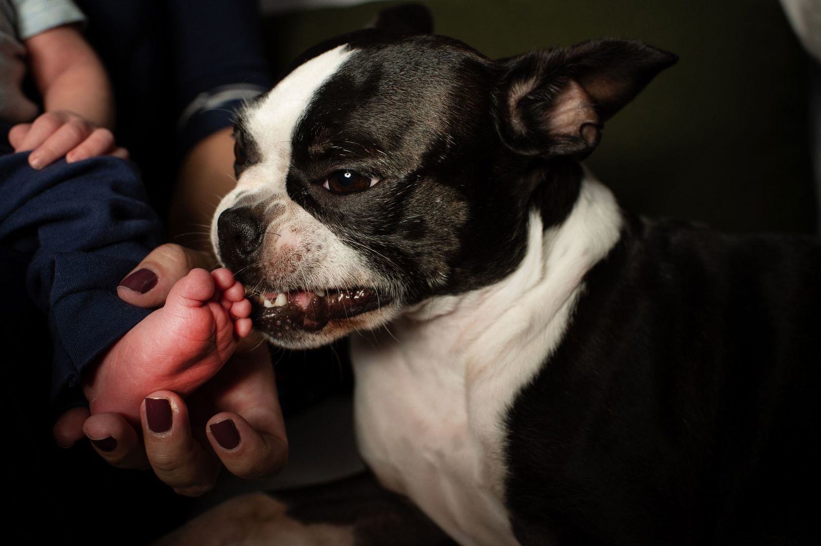 Foto Cristal - Imagem 5