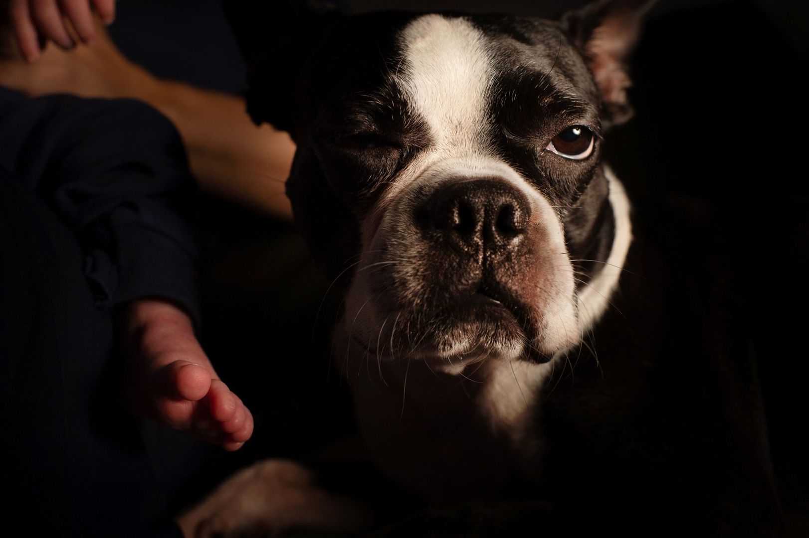 Foto Cristal - Imagem 6