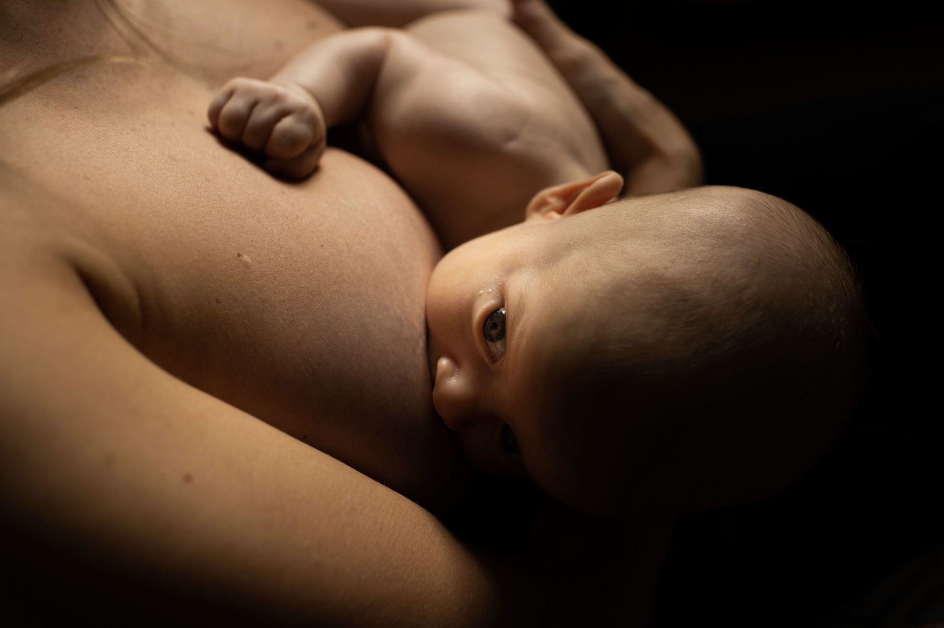 Foto Antônio - 45 dias  - Imagem 5